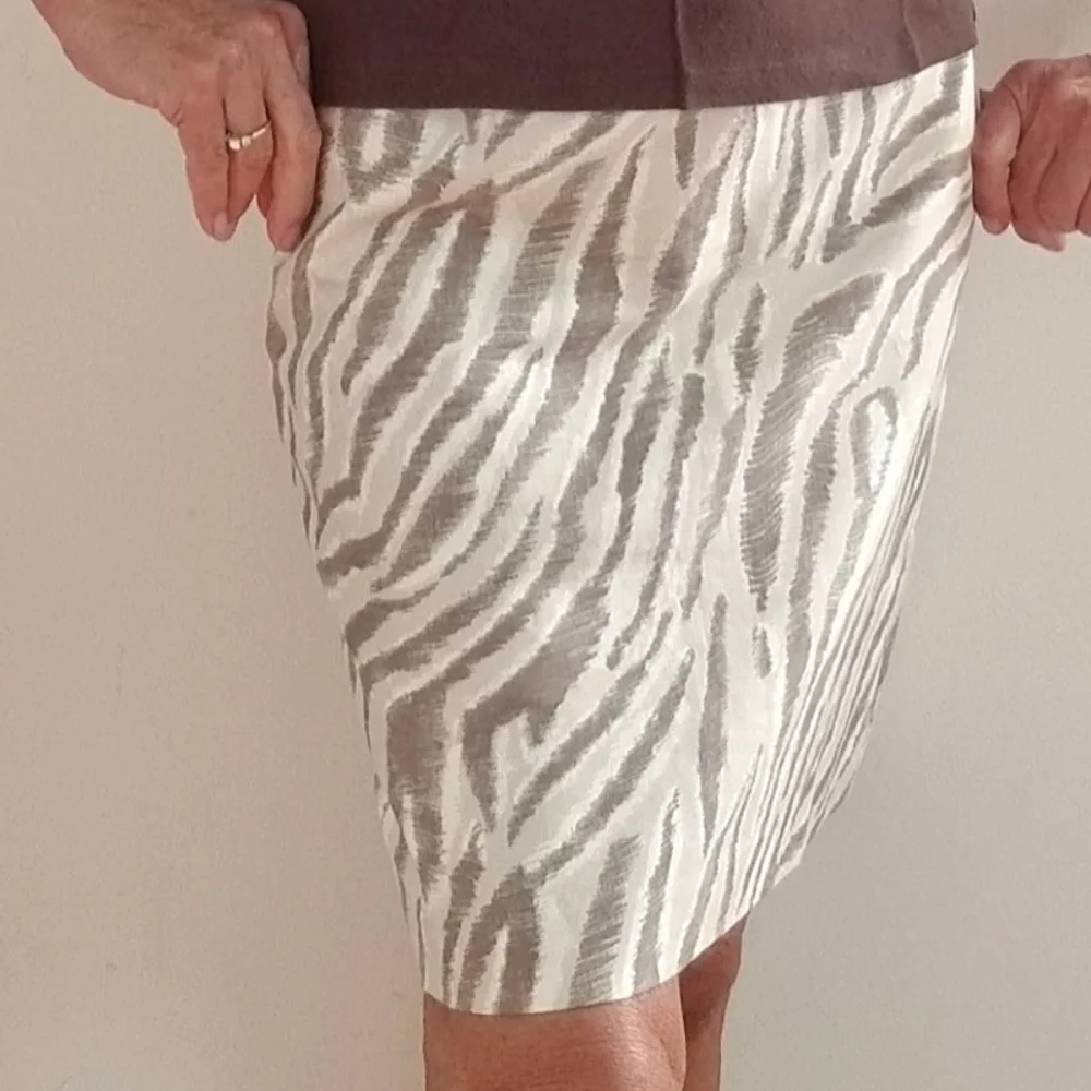 Ann Taylor LOFT Zebra Print Shift Skirt